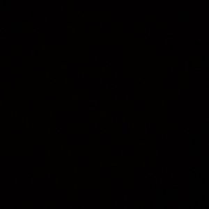 Meet your Posher, Sydbey